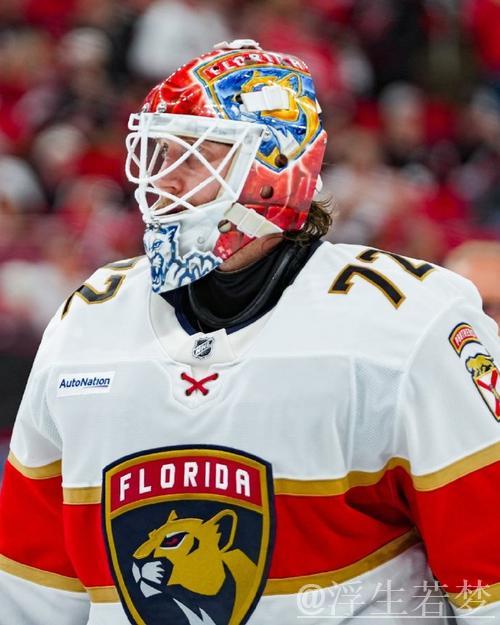 佛罗里达美洲豹完胜达拉斯星4-0：常规赛精彩集锦